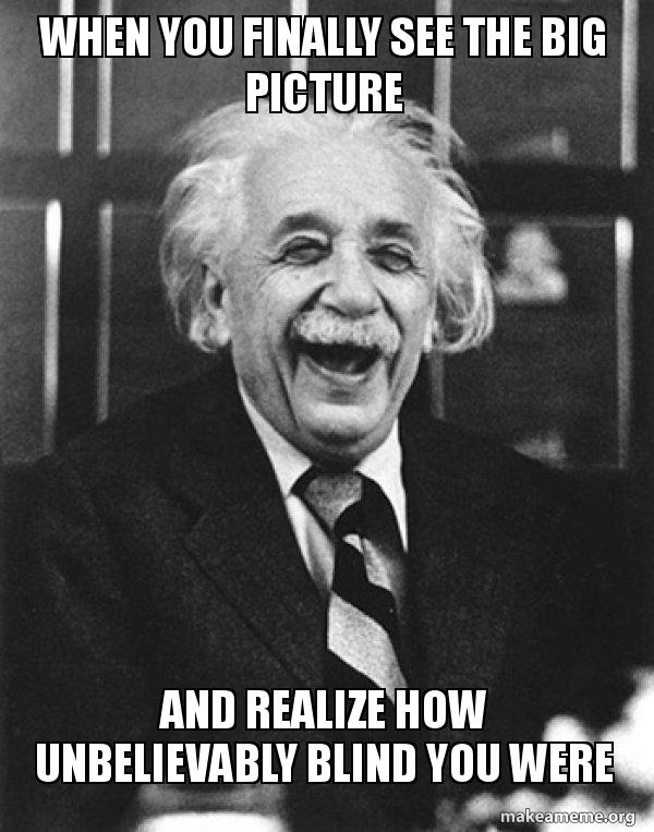 Einstein meme about finally seeing the big picture